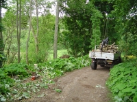 14th June 2008 012